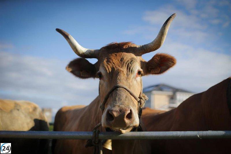 Ayuda extraordinaria de la sequía: 1,6 millones de euros para ganaderos riojanos.