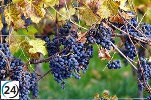 Agricultura se compromete a revitalizar el sector vitivinícola para su rentabilidad.