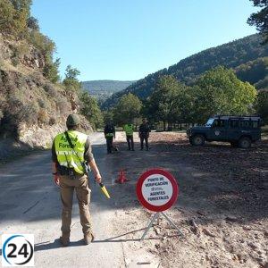 El Medio Ambiente implementa un sistema de supervisión y seguimiento de hongos con el comienzo de la temporada de setas.