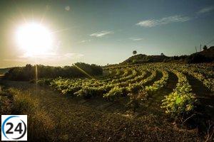 El Consejo Regulador de Rioja prohíbe nuevas plantaciones durante tres años