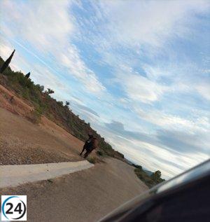 Fuerzas de seguridad capturan toro en fuga en carretera N-232 de Calahorra
