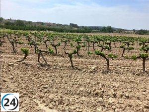 Ampliación de medidas extraordinarias de flexibilización en ayudas del FEADER aprobada.