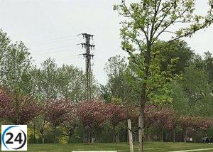 Presuntos asesinos del repartidor en parque de Logroño podrían ser condenados a 30 años