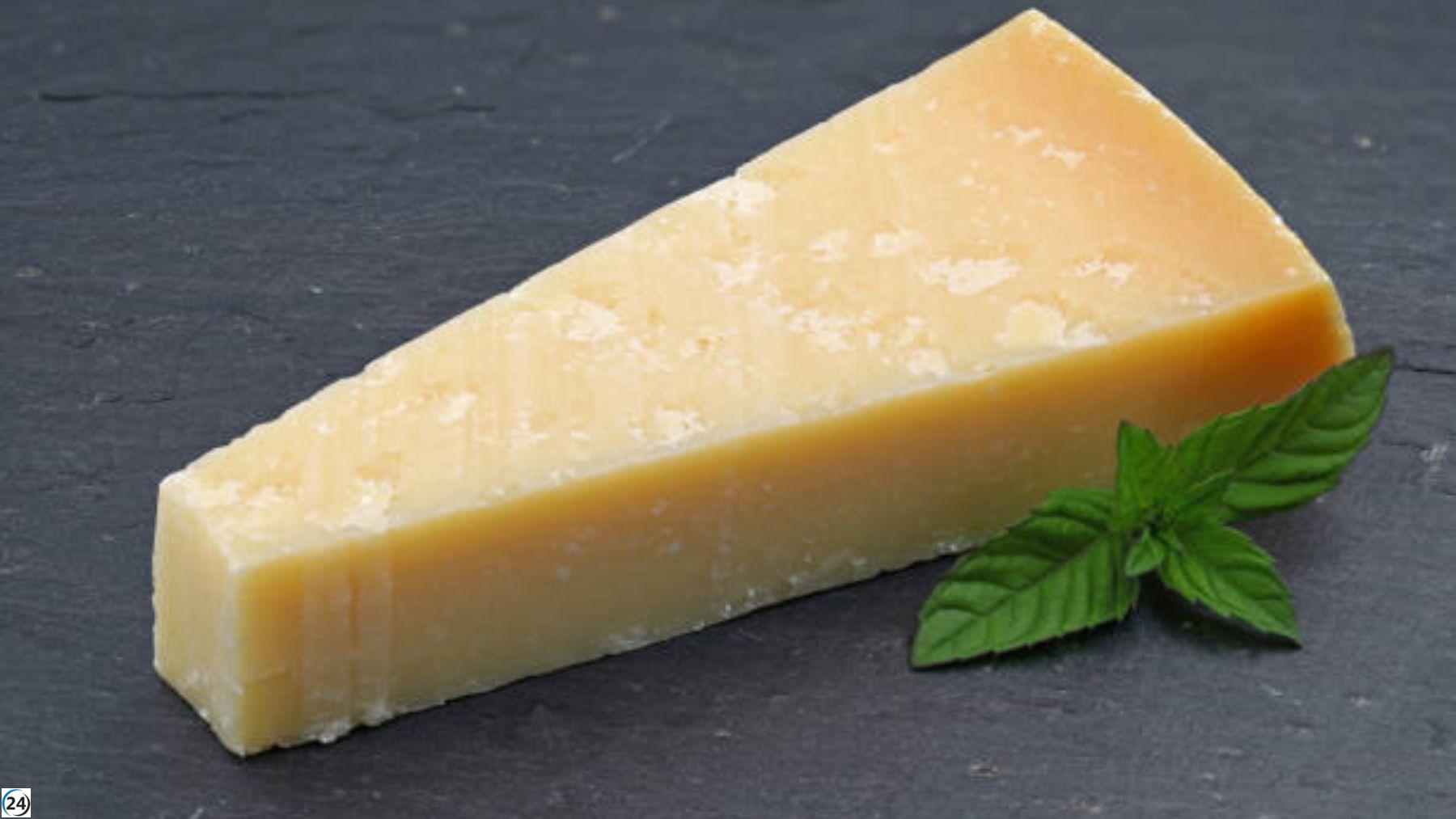 Descubre el mejor queso italiano en Mercadona para tu hogar.