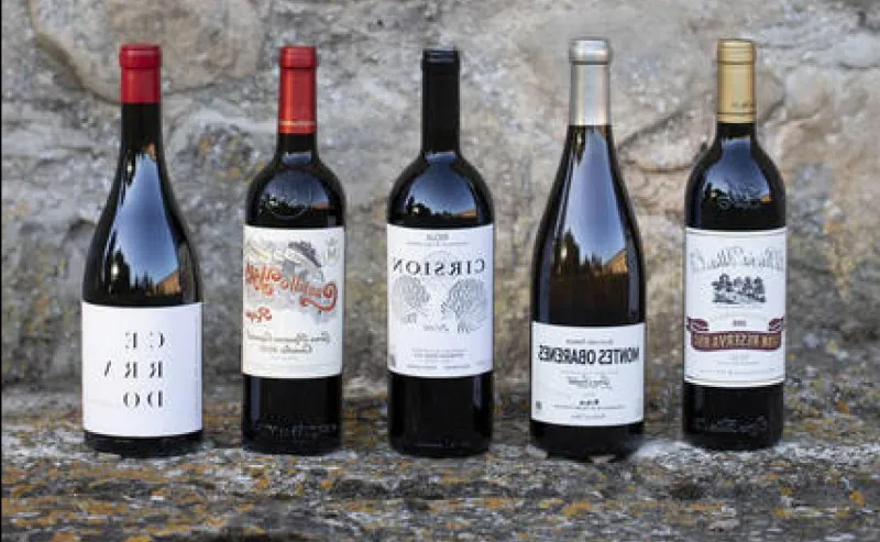 Saborea los mejores vinos de La Rioja en su famosa Ruta del Vino
