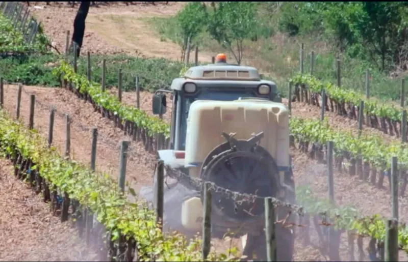 Crecimiento económico en La Rioja: un enfoque en la agricultura