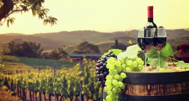 La Rioja, destino turístico para amantes del vino