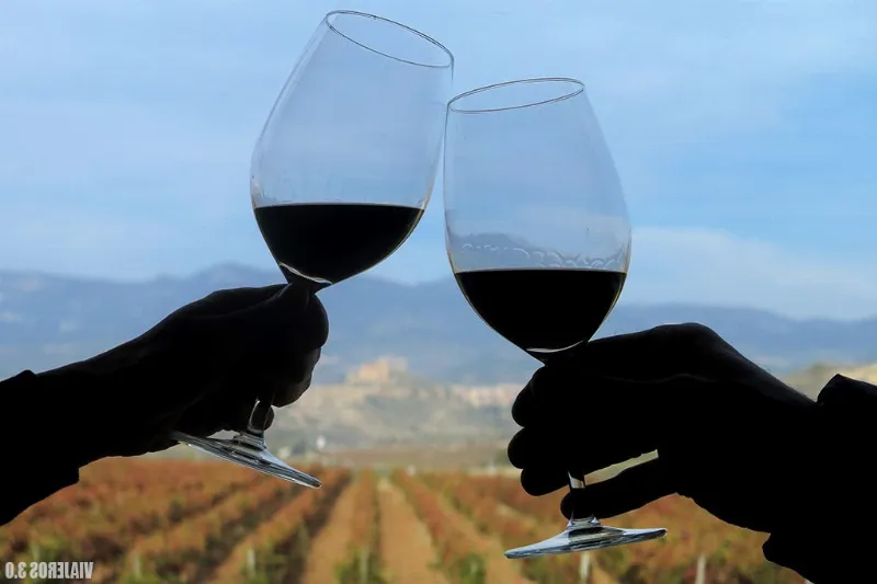 Disfruta del enoturismo en la Rioja