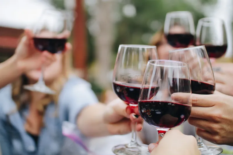 Saboreando la Rioja: los mejores vinos y tapas