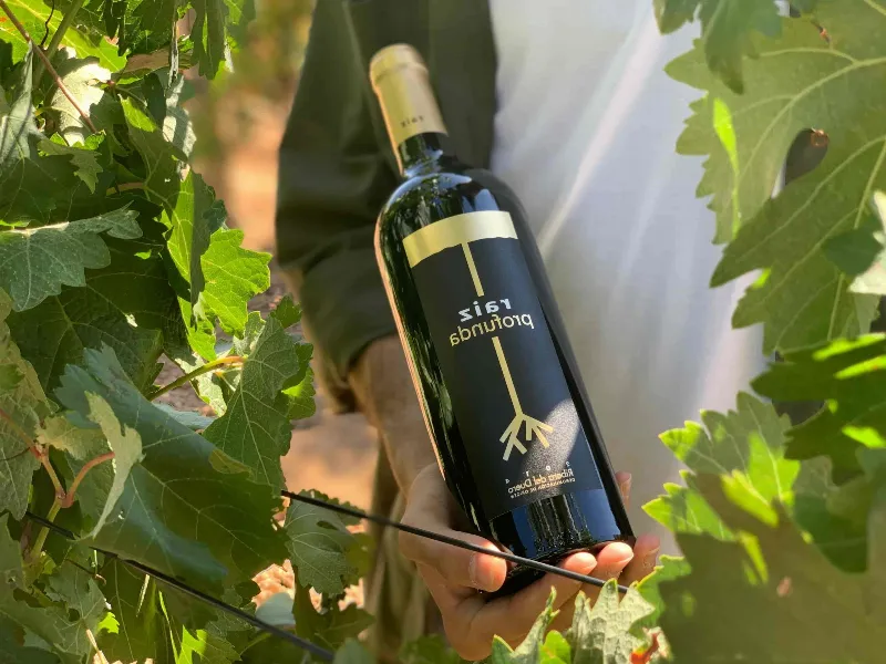 Los vinos de Rioja: la joya de la corona de la gastronomía local
